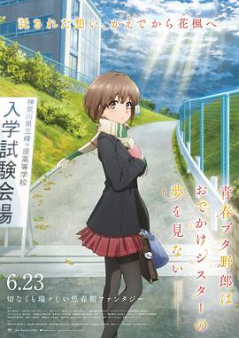 插菊花av